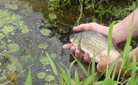 Поплавочная ловля