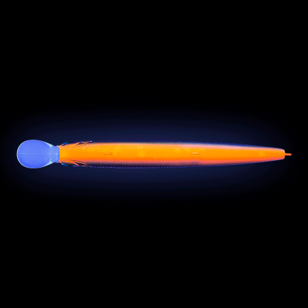 535302_2