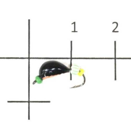 113815_1