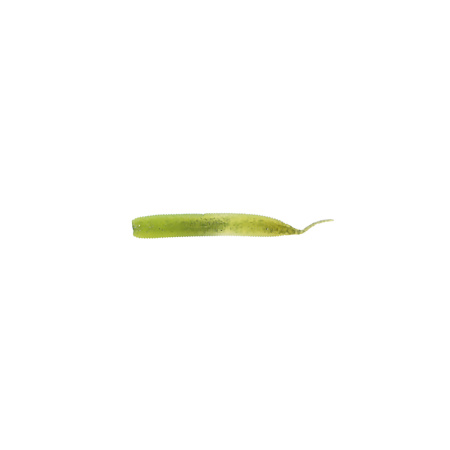 223689_1