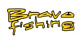 Bravo Fishing